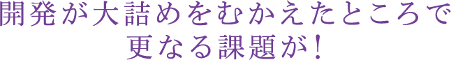 開発が大詰めをむかえたところで更なる課題が！