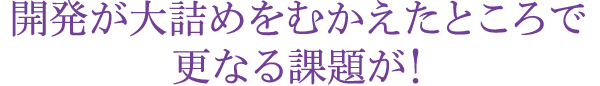 開発が大詰めをむかえたところで更なる課題が！